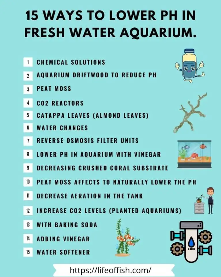 How to lower pH in aquarium Life Of Fish