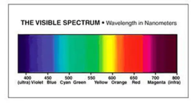 Aquarium Light Spectrum