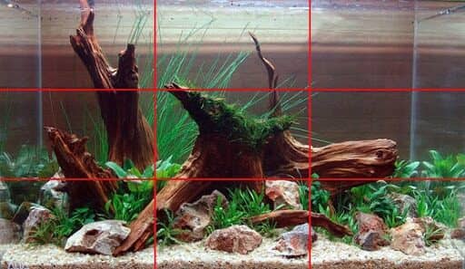 avoid symmetry in aquascaping