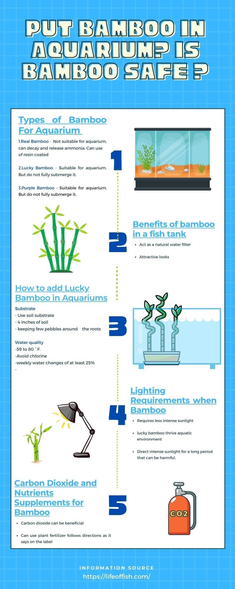 Put Bamboo In Aquarium Is Bamboo Safe infographics