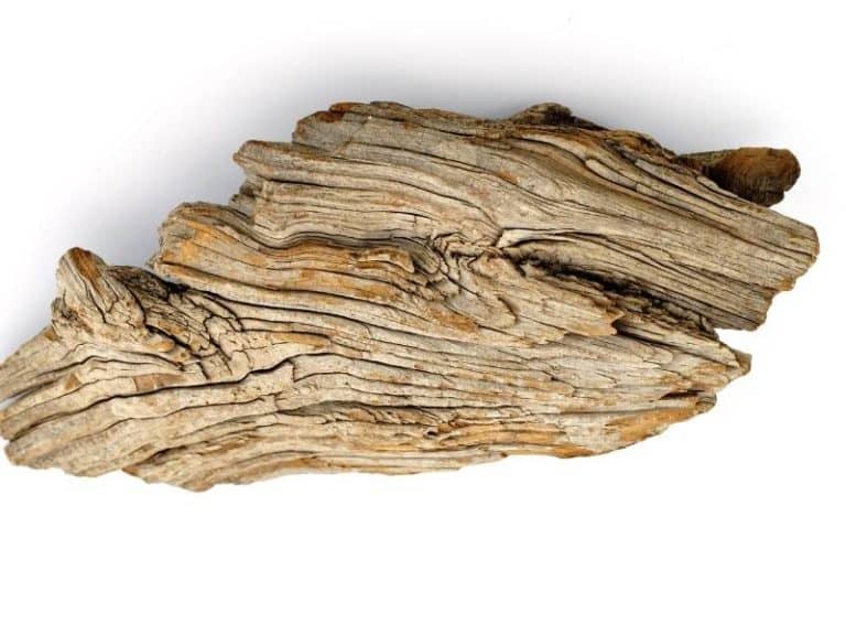 How To Get Driftwood To Sink? [SOLVED] Easy Way