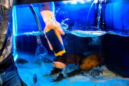 Clean Aquarium Gravel With Or Without Vacuum