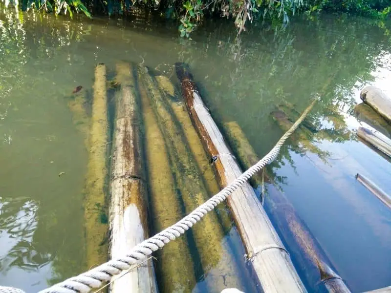 Is It Safe To Put Dried Bamboo In An Aquarium? | Steps to Follow