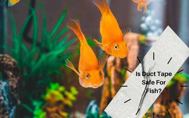 Is Duct Tape Safe For Fish? Know Aquarium Safe Tapes