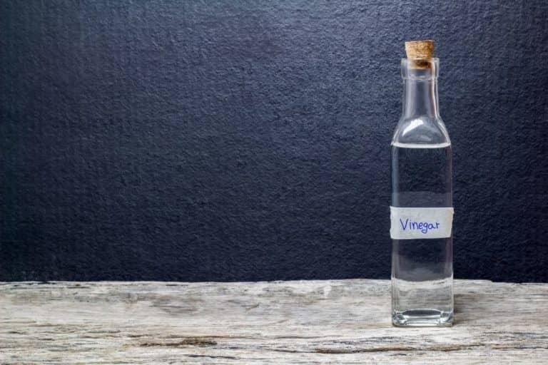 Cleaning Fish Tank with Vinegar 13 Useful Facts