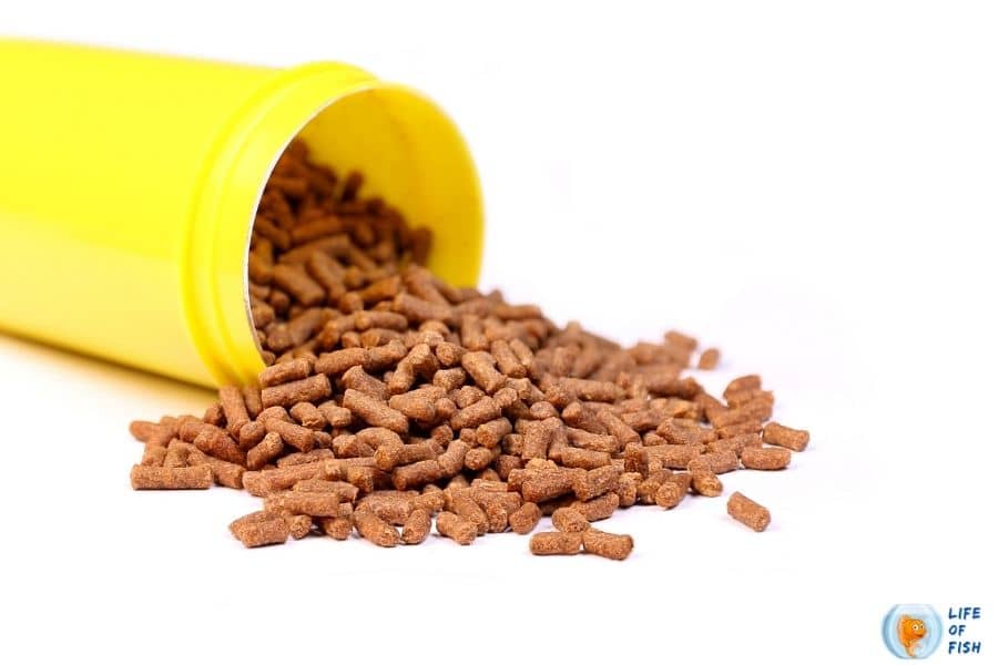 Accidentally Poured Too Much Fish Food: What Should You Do?