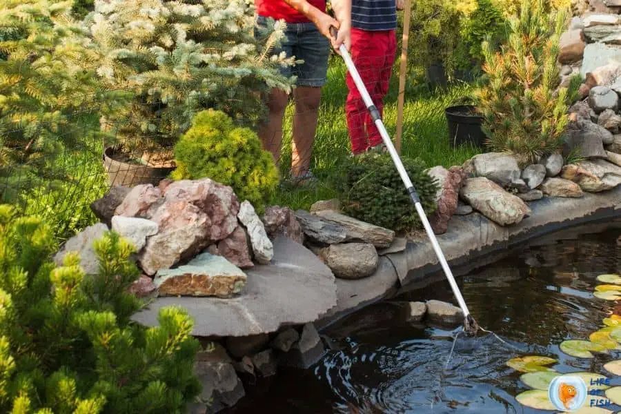 Pond Maintenance and Cleaning