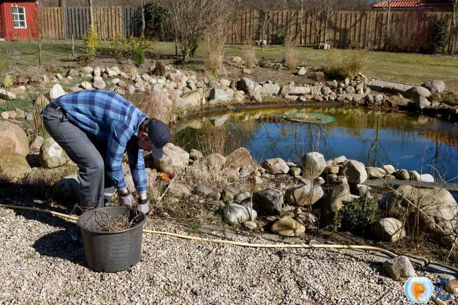 Pond Maintenance and Cleaning