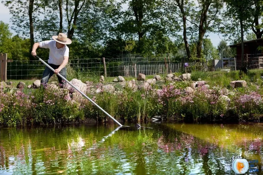 Pond Maintenance and Cleaning