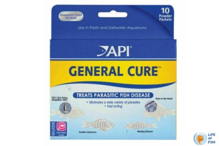 API General Cure ( Is This A Cure For Everything?)