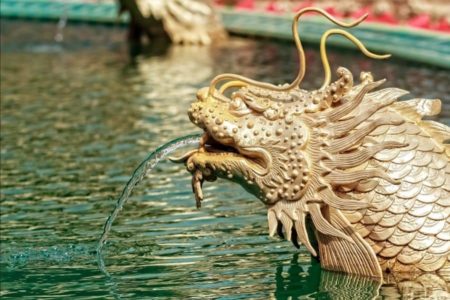 12 Fish That Looks Like A Dragon (Oh Yes! I Am Not Kidding)