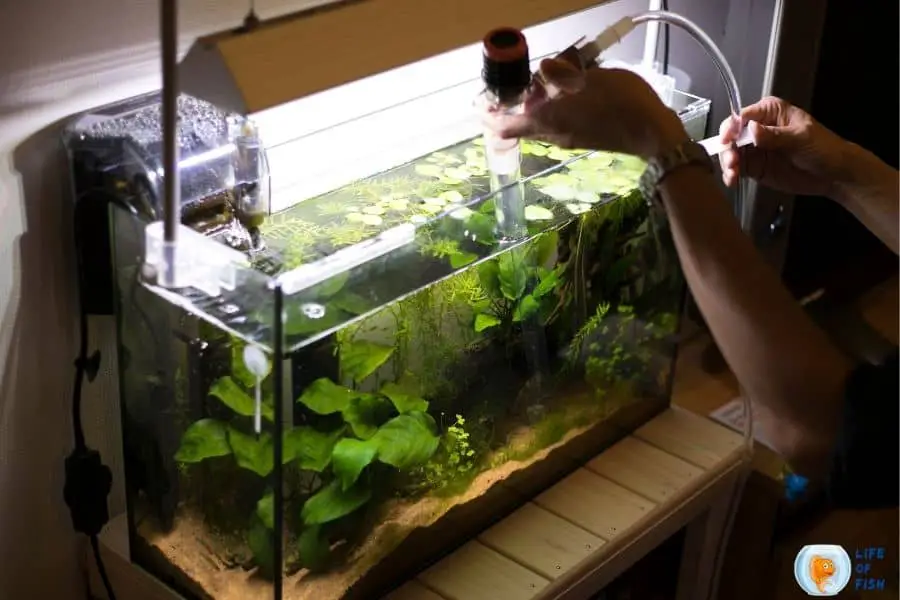 Can You Put A Fish Tank Near A Radiator