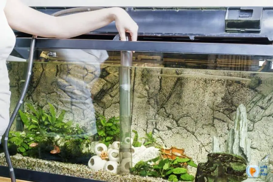 How to protect the fish tank from sunlight