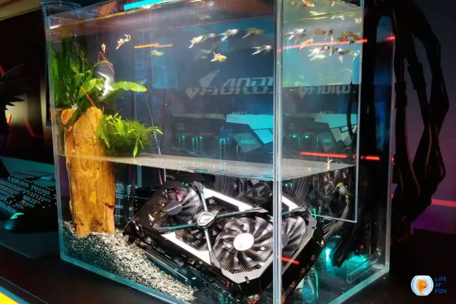 Fish Tank Computer