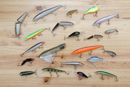 Different Types of Fishing Lures ( Most Common Ones )