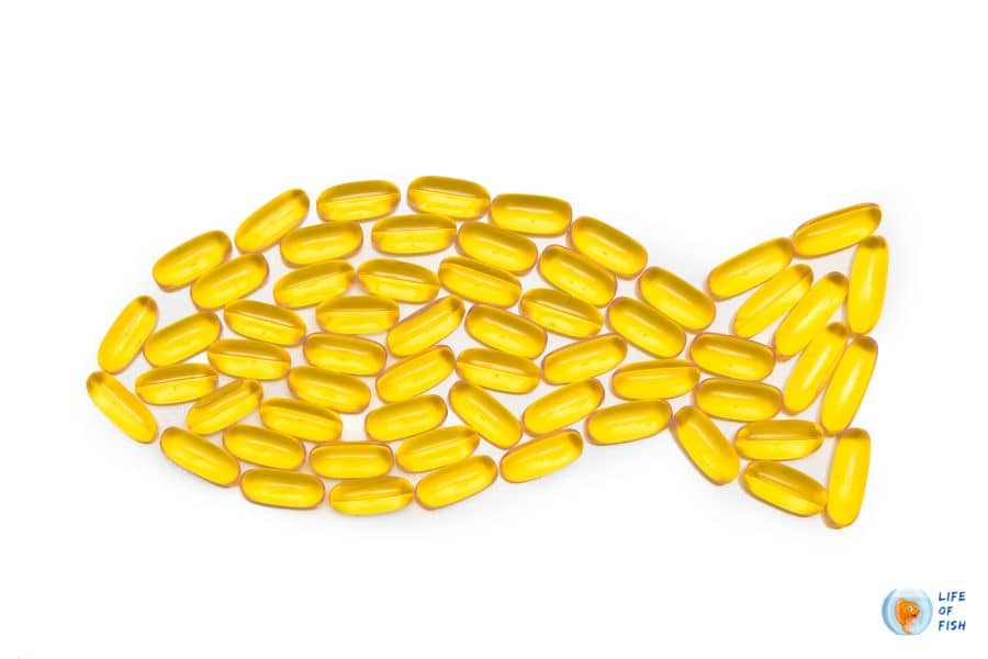 Fish Oil Better Than Salmon Oil for Dogs & Cats