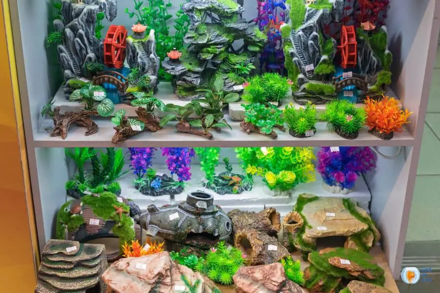 Too Many Decorations In A Fish Tank
